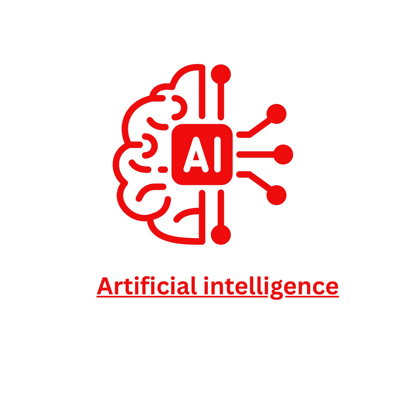 WhatsApp Image 2025-12-13 at 14.49.36 (2)